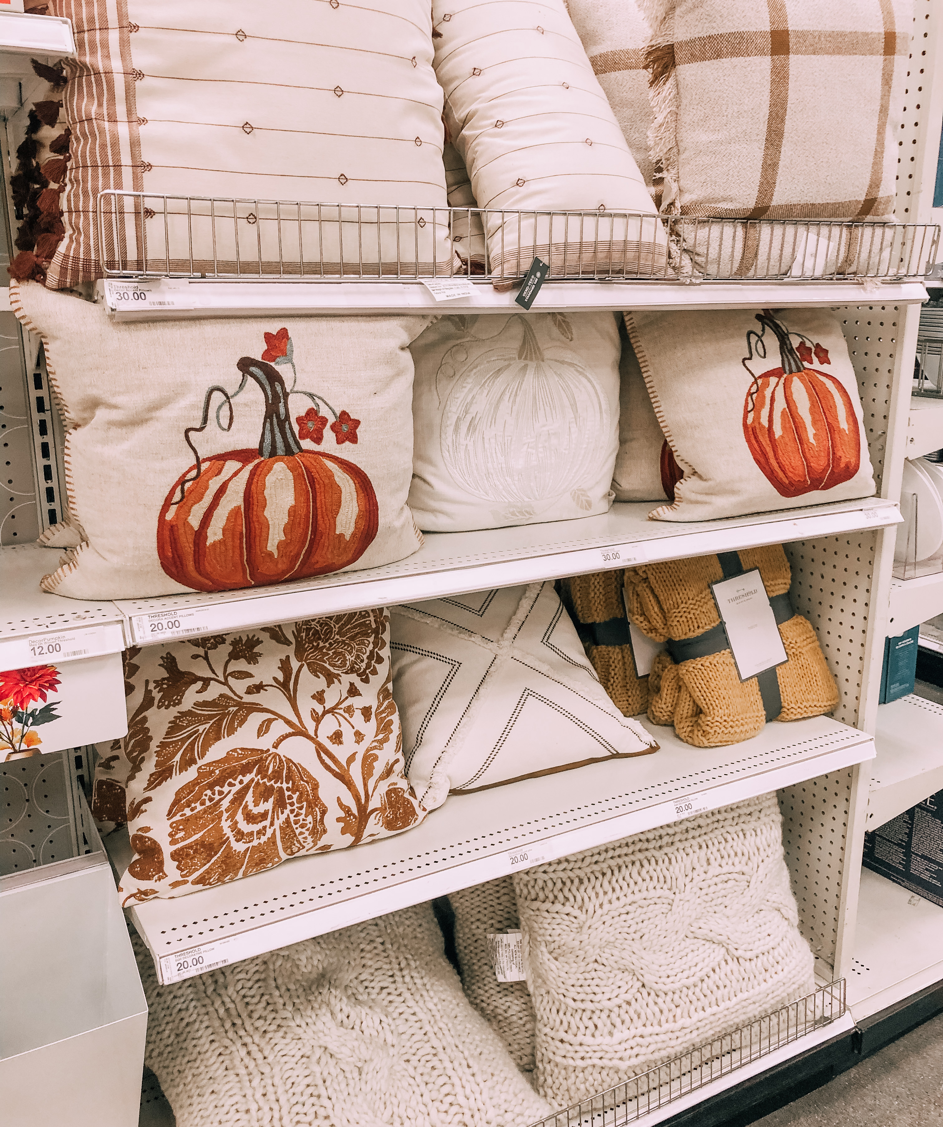 Fall decor throw pillows.
